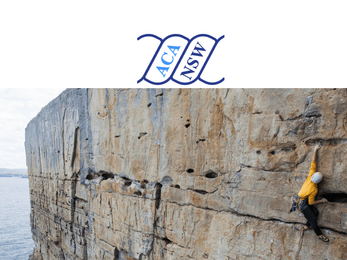 ACA(NSW) launches a new website in&nbsp;2024!